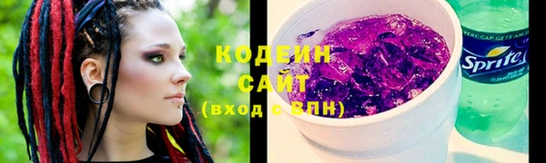 прущие грибы Гусь-Хрустальный