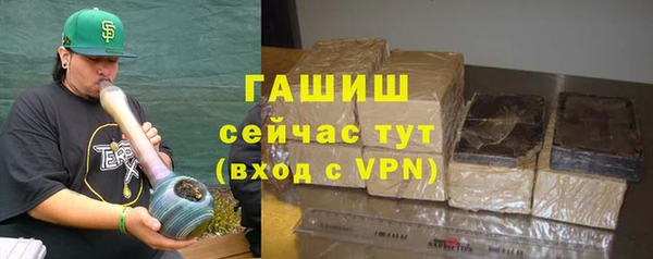 прущие грибы Гусев