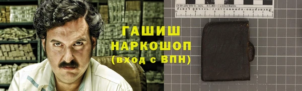 прущие грибы Гусев