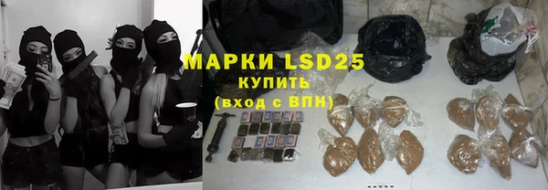 прущие грибы Гусев