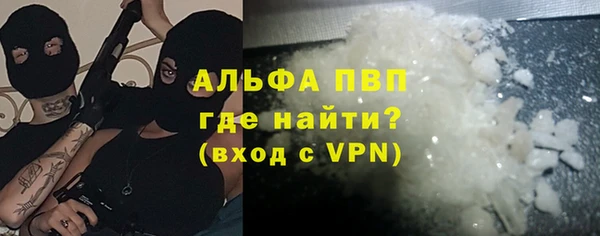 прущие грибы Гусь-Хрустальный