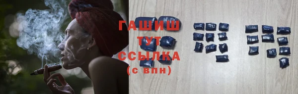 прущие грибы Гусь-Хрустальный
