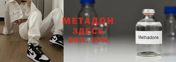 прущие грибы Гусев