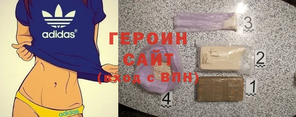 прущие грибы Гусев