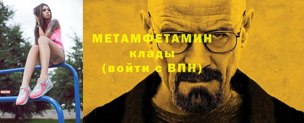 прущие грибы Гусев