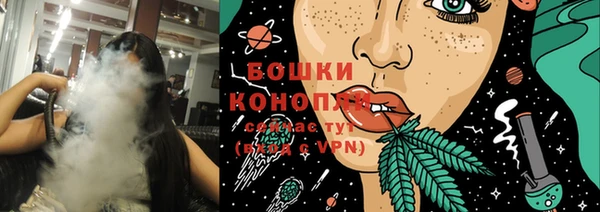 прущие грибы Гусь-Хрустальный